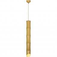 Подвесной светильник «Lussole» LSP-8564-4