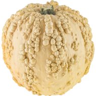 Тыква Попкорн, 1 кг