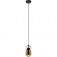 Подвесной светильник «Lussole» LSP-8568