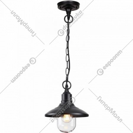 Уличный светильник «Odeon Light» Campa, Nature ODL22 567, 4965/1, черный/стекло