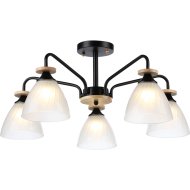 Подвесной светильник «Ambrella light» TR9571/5 BK/FR, черный/белый