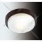 Настенно-потолочный светильник «Odeon Light» Holger, Drops ODL15 545, 2744/2C, венге/стекло