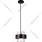 Подвесной светильник «Ambrella light» TR3646 BK/CL, черный/прозрачный