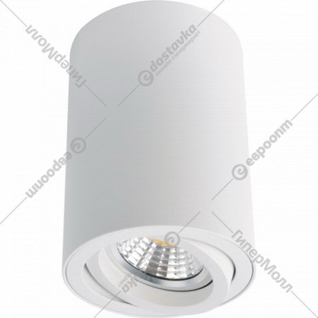 Точечный светильник «Arte Lamp» Sentry, A1560PL-1WH