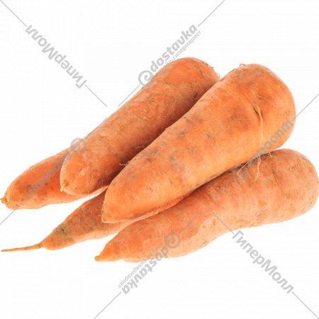 Морковь ранняя, 1 кг, фасовка 2.4 кг