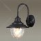 Уличный светильник «Odeon Light» Kalpi, Nature ODL21 577, 4836/1W, черный/стекло