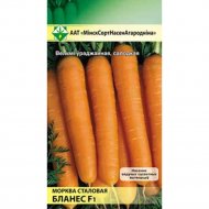 Семена моркови «МинскСортСемовощ» Бланес, столовая, 200 шт