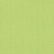 Рулонная штора «Эскар» салатовый, 37х170 см