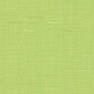 Рулонная штора «Эскар» салатовый, 43х170 см