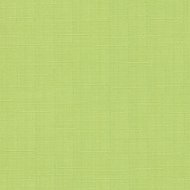 Рулонная штора «Эскар» салатовый, 3101405217012, 52х170 см