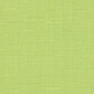 Рулонная штора «Эскар» салатовый, 3101406217012, 62х170 см