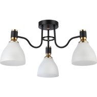 Потолочный светильник «Ambrella light» TR303303/3 BK/GD/FR, черный/золото/белый