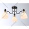 Потолочный светильник «Ambrella light» TR303303/3 BK/GD/FR, черный/золото/белый