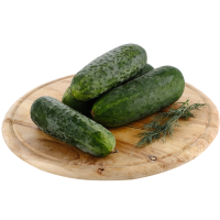 

Огурец колючий в лотке(ФХ) 1кг