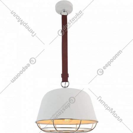 Подвесной светильник «Lussole» GRLSP-8043