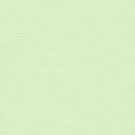 Рулонная штора «Эскар» светло-зеленый, 3101704817012, 48х170 см