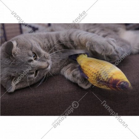 Набор игрушек для кошек «Bradex» Рыбы, TD 0719, 2 шт
