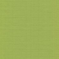 Рулонная штора «Эскар» темно-оливковый, 3101804317012, 43х170 см
