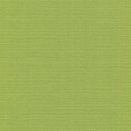 Рулонная штора «Эскар» темно-оливковый, 3101804817012, 48х170 см