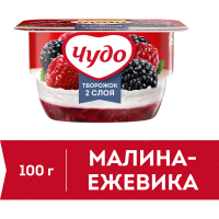 

Дес.твор."ТВОРОЖОК"(мал.-ежев. 4.2%)100г