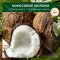Шампунь «Herbal Essences» кокосовое молоко, 400 мл