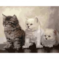 Картина по номерам «PaintBoy» Три котенка, GX21053