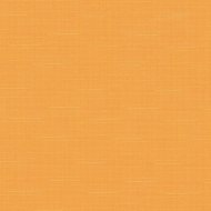 Рулонная штора «Эскар» апельсин, 3120304317012, 43х170 см
