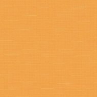Рулонная штора «Эскар» апельсин, 3120311517012, 115х170 см