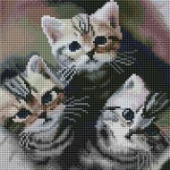Алмазная мозаика «PaintBoy» Три котенка, HF019