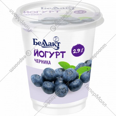 Йогурт с фруктовым наполнителем «Беллакт» черника, 2,9%, 380г