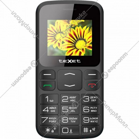 Мобильный телефон «Texet» TM-B208 +ЗУ WC-111, Black