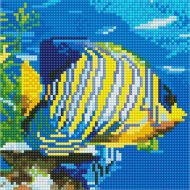 Алмазная мозаика «PaintBoy» Тропическая рыбка, BF1002