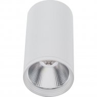Накладной светильник «Kinklight» Фабио, 08570-10.01, белый
