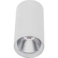 Накладной светильник «Kinklight» Фабио, 08570-10.01, белый