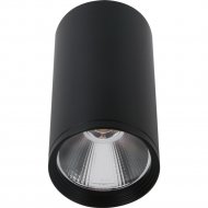 Накладной светильник «Kinklight» Фабио, 08570-10.19, черный