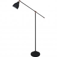 Напольный светильник «Arte Lamp» Braccio, A2054PN-1BK