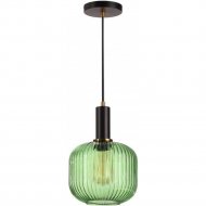 Подвесной светильник «Lumion» Merlin, Suspentioni LN20 144, 4462/1, черный/зеленый