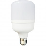 Лампа светодиодная «Rexant» 604-069