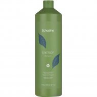 Шампунь для волос «EchosLine» Energy, очищающее действие, 1 л