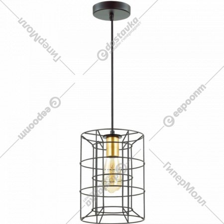 Подвесной светильник «Lumion» Rupert, Lofti LN19 205, 4410/1, черный/золотой