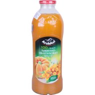 Нектар Arshani тыквенно-облепиховый, 1 л