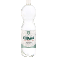 

Вода "БОРОВАЯ" (леч.суль.-кал,негаз)1.5л