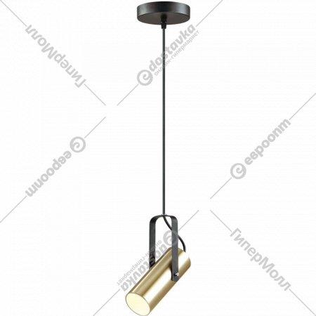 Подвесной светильник «Lumion» Claire, Moderni LN19 100, 3714/1, золотой/черный