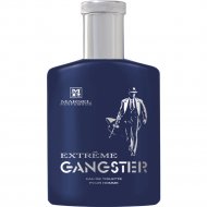 Туалетная вода «Brocard» Gangstar Extreme, 100 мл