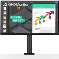 

Монитор "LG" (27 27QN880-B)
