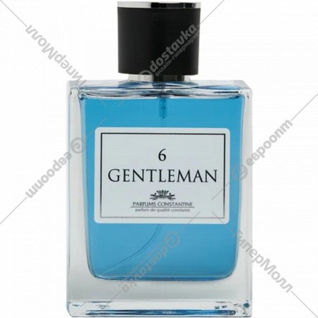 Туалетная вода «Parfums Constantine» мужская, Gentleman 6, 100 мл