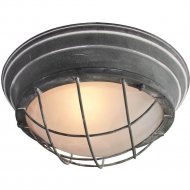 Потолочный светильник «Lussole» GRLSP-9881