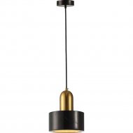 Подвесной светильник «Lussole» LSP-8698
