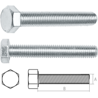 

Болт "STARFIX" (М20х60, 20 кг., 8.8)