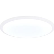 Потолочный светильник «Ambrella light» FZ1232 WH, белый